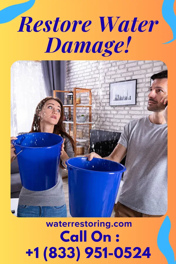 water restoration Elite Water Damage Professionals Harbor Hills